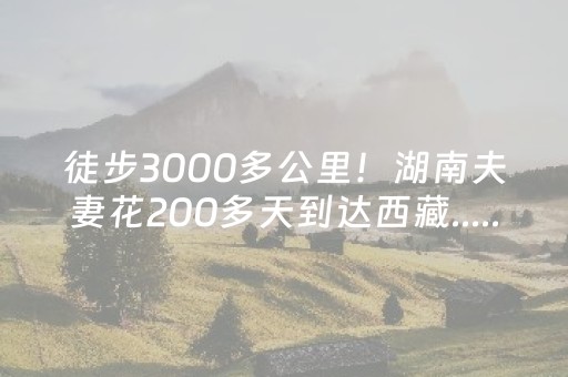玩家必备教程“打微信麻将怎么赢（专用辅牌神器免安装）
