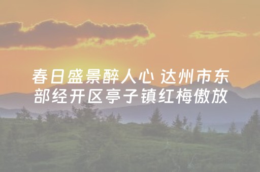 实测辅助“手机读扑克牌软件（助赢神器通用版）