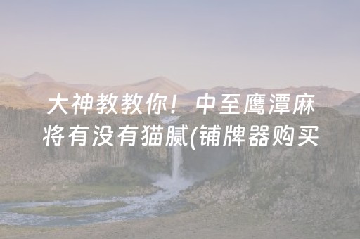 大神教教你！中至鹰潭麻将有没有猫腻(铺牌器购买)