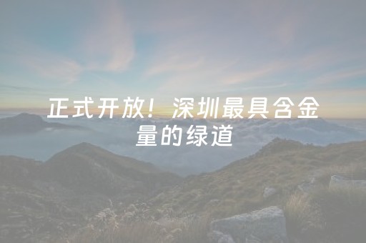 实测分析“微乐麻将有猫腻吗”（详细辅助教程）-哔哩哔哩