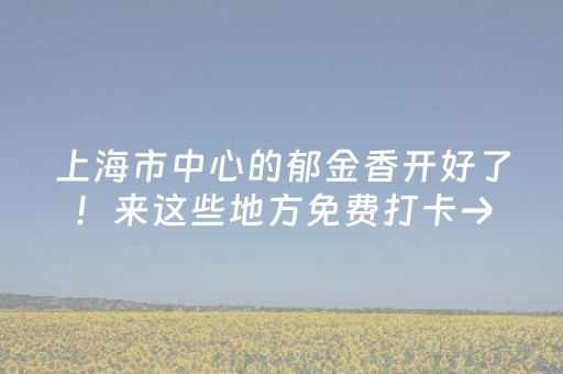 终于发现了“闲逸斗地主挂在哪买（专用辅牌神器免安装）