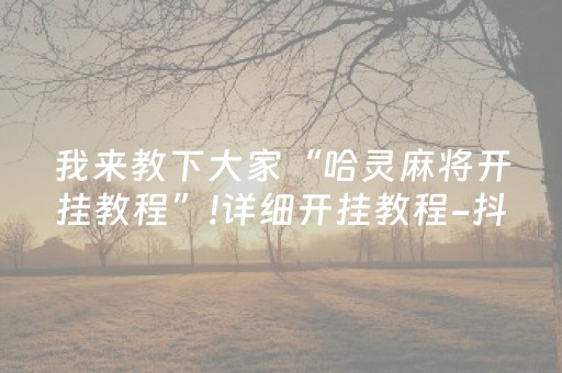胜率设置方法“决胜麻将作敝神器”（详细透视教程）-哔哩哔哩