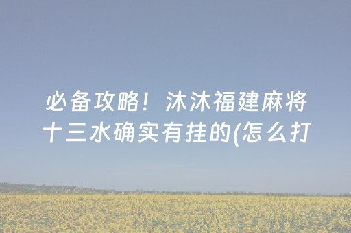 必备攻略！沐沐福建麻将十三水确实有挂的(怎么打容易赢)