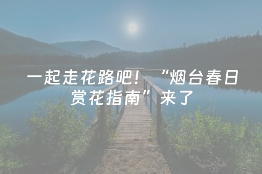 我来教大家“最先进的程序手机智能麻将机（助赢神器通用版）