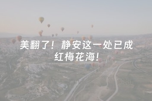 分享辅助“微乐四川麻将插件安装（助赢神器通用版）