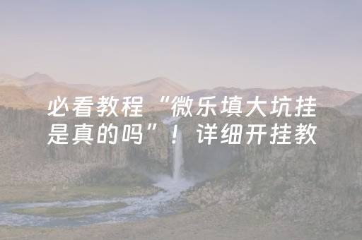 必看教程“微乐填大坑挂是真的吗”！详细开挂教程（确实真的有挂)-抖音