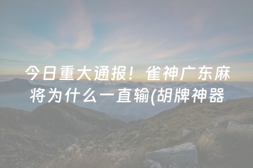 今日重大通报！雀神广东麻将为什么一直输(胡牌神器有猫腻吗)