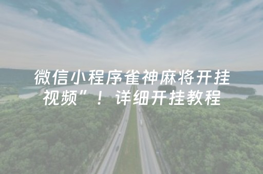 玩家实测“微信斗牛黑科技（专用辅牌神器免安装）