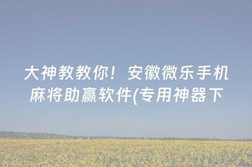 我来教大家“微乐插件下载教程（专用辅牌神器免安装）