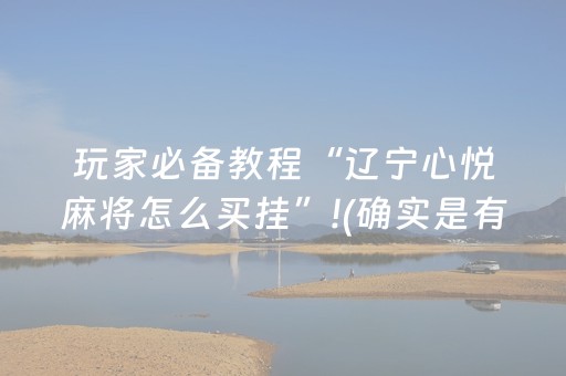 分享辅助“麻将芯片解码器（专用辅牌神器免安装）