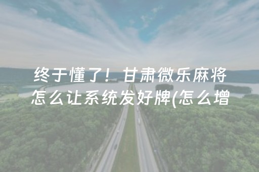分享辅助“决胜手机麻将带挂器（助赢神器通用版）
