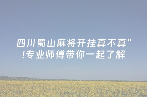 必看教程“诚信红包尾数规律技巧”（详细透视教程）-哔哩哔哩