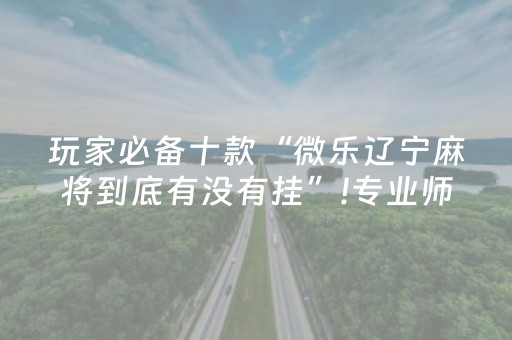 玩家必备十款“微乐辽宁麻将到底有没有挂”!专业师傅带你一起了解（详细教程）-抖音
