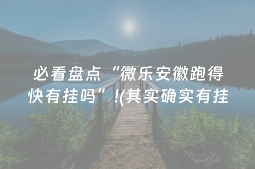 必看教程“微乐陕西挖坑助赢神器（专用辅牌神器免安装）