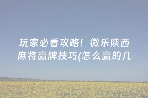 教程辅助“解码器能解任何麻将机吗”（详细透视教程）-哔哩哔哩