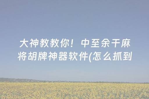 今日盘点“微乐开挂会被检测吗”（详细辅助教程）-哔哩哔哩