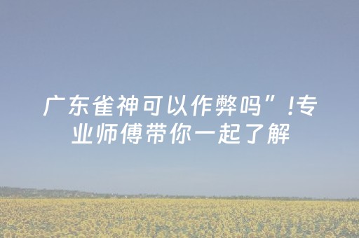 实测结果“中至手机麻将软件只赢不输（助赢神器通用版）