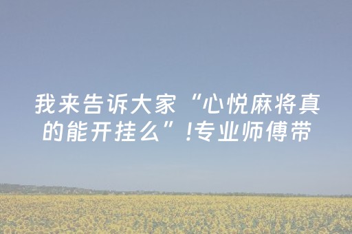 终于发现“功夫麻将插件（专用辅牌神器免安装）