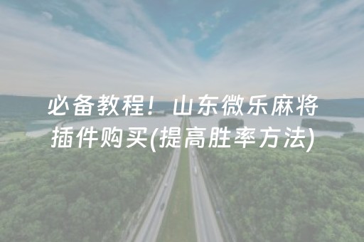 必备教程！山东微乐麻将插件购买(提高胜率方法)
