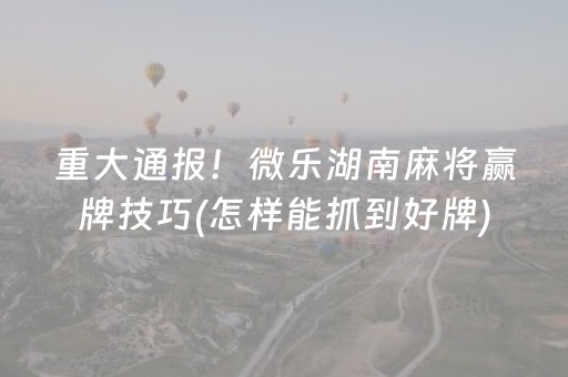 重大通报！微乐湖南麻将赢牌技巧(怎样能抓到好牌)