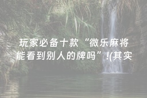 玩家必备十款“微乐麻将能看到别人的牌吗”!(其实确实有挂)-抖音