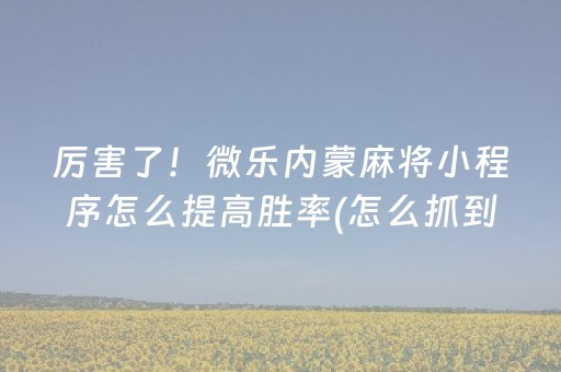 玩家必看攻略“雀神广东麻将助赢神器（专用辅牌神器免安装）