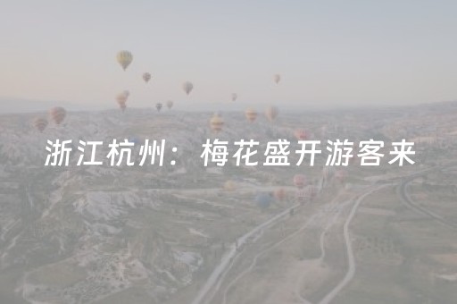 3分钟学会“微乐山东麻将自建房输赢规律（助赢神器通用版）
