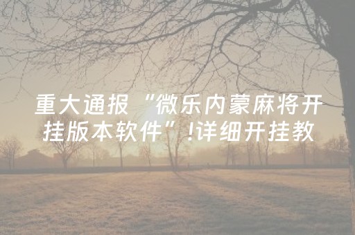 重大通报“微乐内蒙麻将开挂版本软件”!详细开挂教程-抖音