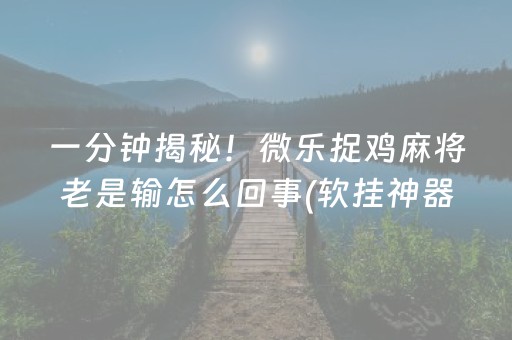 终于发现“微乐吉林麻将插件（助赢神器通用版）
