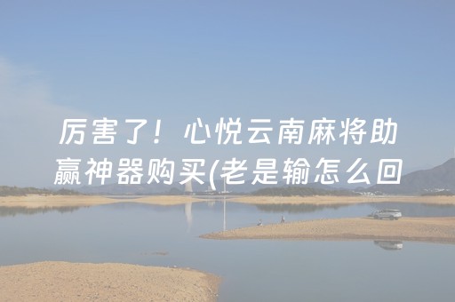 实测结果“手机十三道有外挂吗（专用辅牌神器免安装）