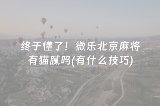 实测分享“雀神辅助器ios版”（详细透视教程）-哔哩哔哩