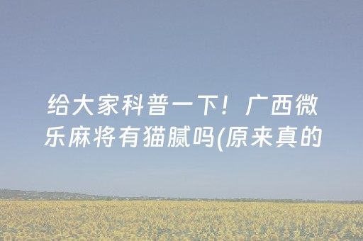 分享辅助“开心十三张辅助ios版（助赢神器通用版）