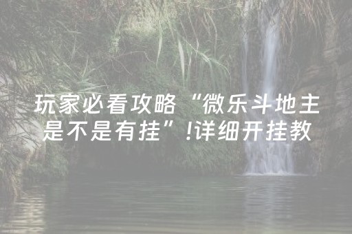玩家必备教程“微乐家乡麻将怎么让系统发好牌（助赢神器通用版）