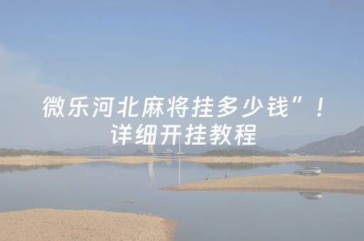 微乐河北麻将挂多少钱”！详细开挂教程（确实真的有挂)-抖音