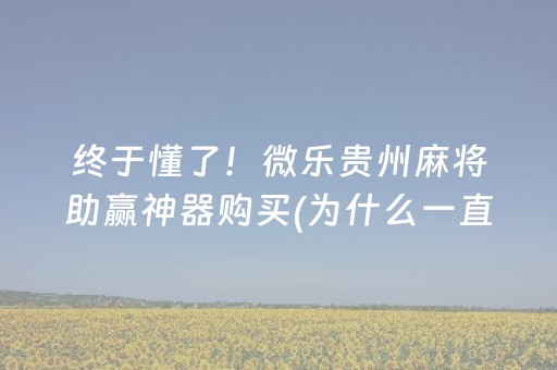 终于懂了！微乐贵州麻将助赢神器购买(为什么一直输)