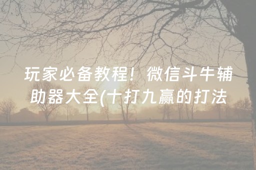 玩家必备教程！微信斗牛辅助器大全(十打九赢的打法)