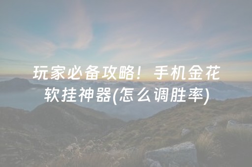玩家必备攻略！手机金花软挂神器(怎么调胜率)