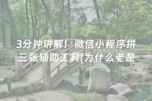 3分钟讲解！微信小程序拼三张辅助工具(为什么老是输)