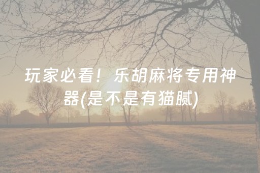 玩家必看！乐胡麻将专用神器(是不是有猫腻)