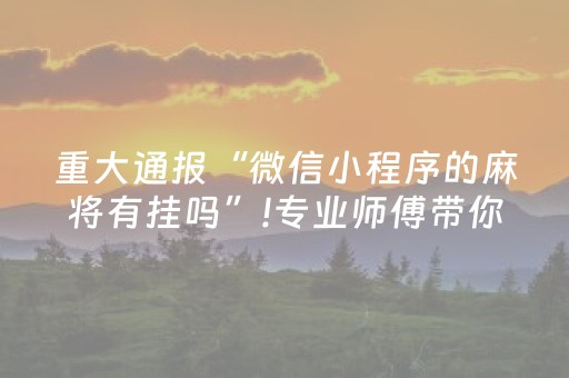 重大通报“微信小程序的麻将有挂吗”!专业师傅带你一起了解（详细教程）-抖音