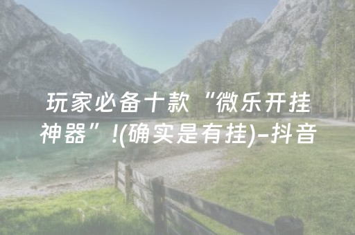玩家必备十款“微乐开挂神器”!(确实是有挂)-抖音