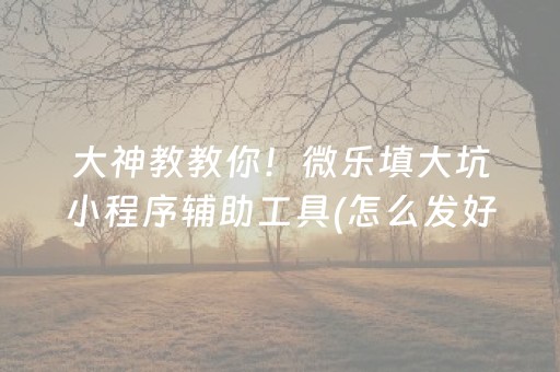 大神教教你！微乐填大坑小程序辅助工具(怎么发好牌)