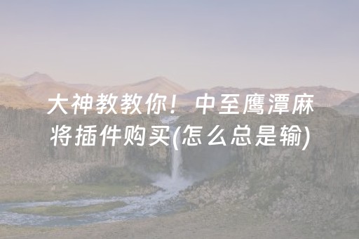 大神教教你！中至鹰潭麻将插件购买(怎么总是输)