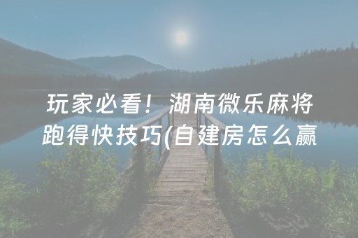 终于发现了“手机雀神麻将软挂神器（专用辅牌神器免安装）