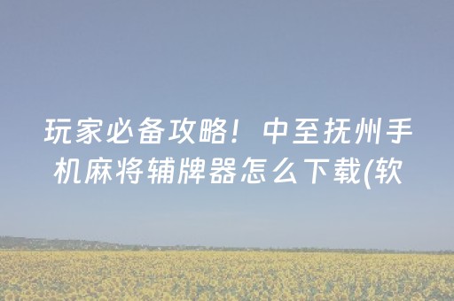 玩家必备攻略！中至抚州手机麻将辅牌器怎么下载(软挂神器)