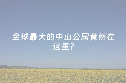 教程辅助“微乐山西麻将助赢神器可试用（专用辅牌神器免安装）
