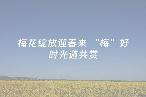 我来教大家“中至麻将插件购买”（详细透视教程）-哔哩哔哩