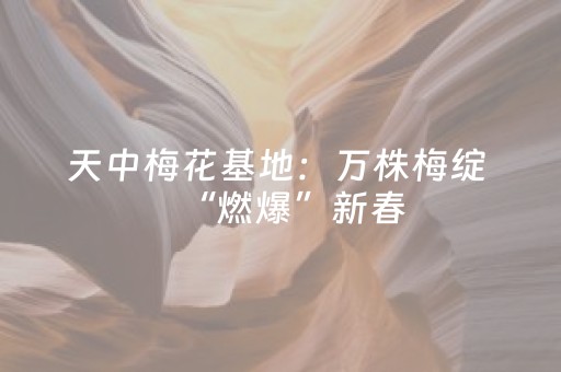 必看教程“微乐山东麻将如何增加胜率（专用辅牌神器免安装）