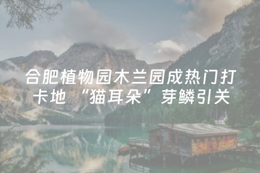 必看教程“手机打牌软件神器设备（专用辅牌神器免安装）