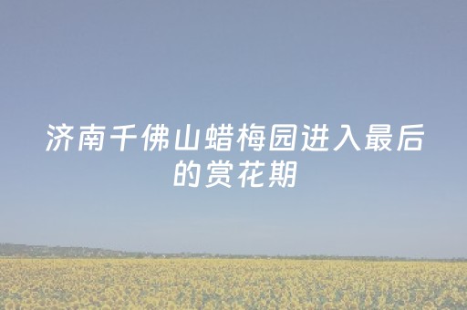 2分钟秒懂！“微乐麻将神器680元”（详细辅助教程）-哔哩哔哩